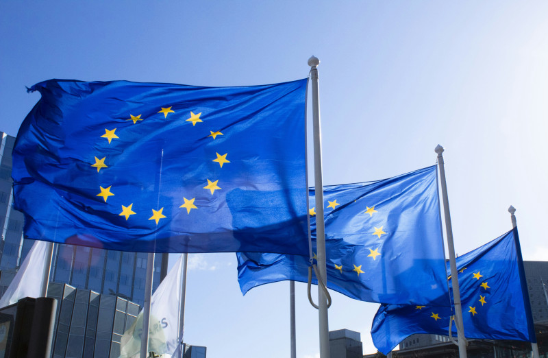 “European Union’s underbelly: problems of integration in the case of Bosnia and Herzegovina”