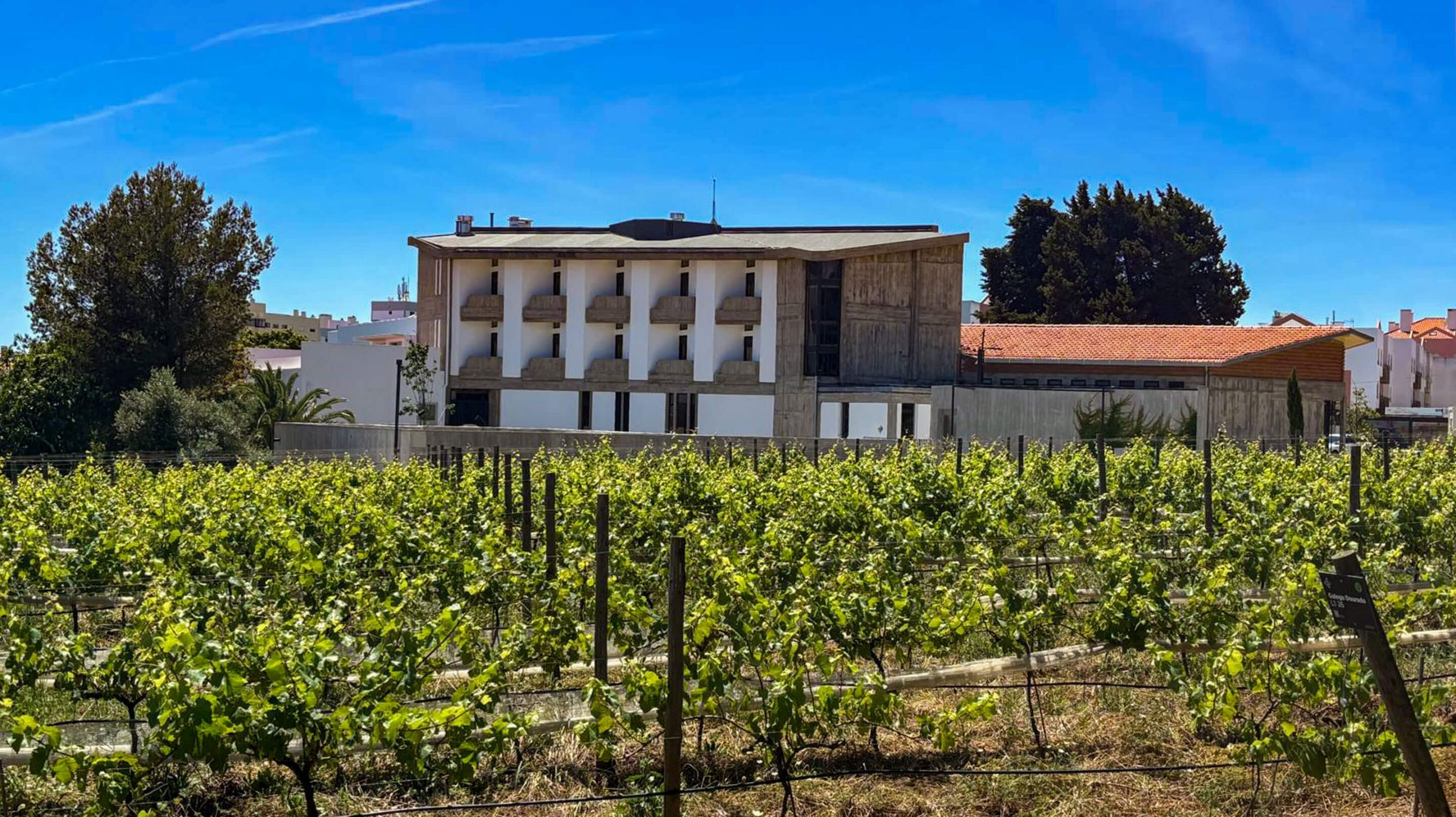 Cascais Campus