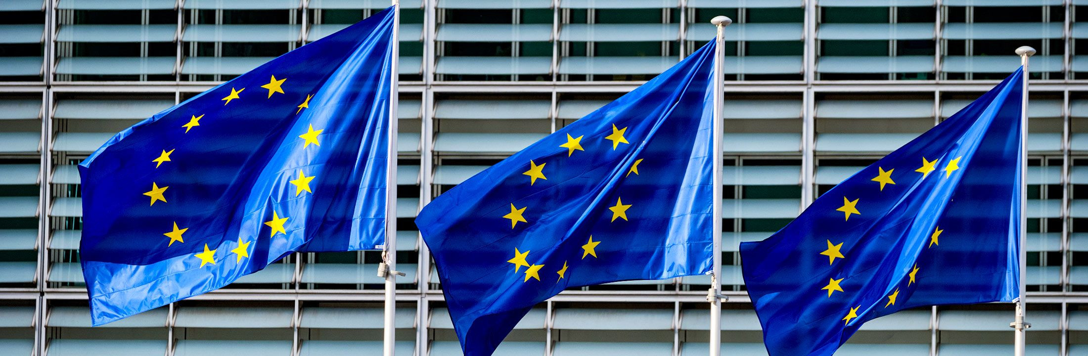 LLB in European Law