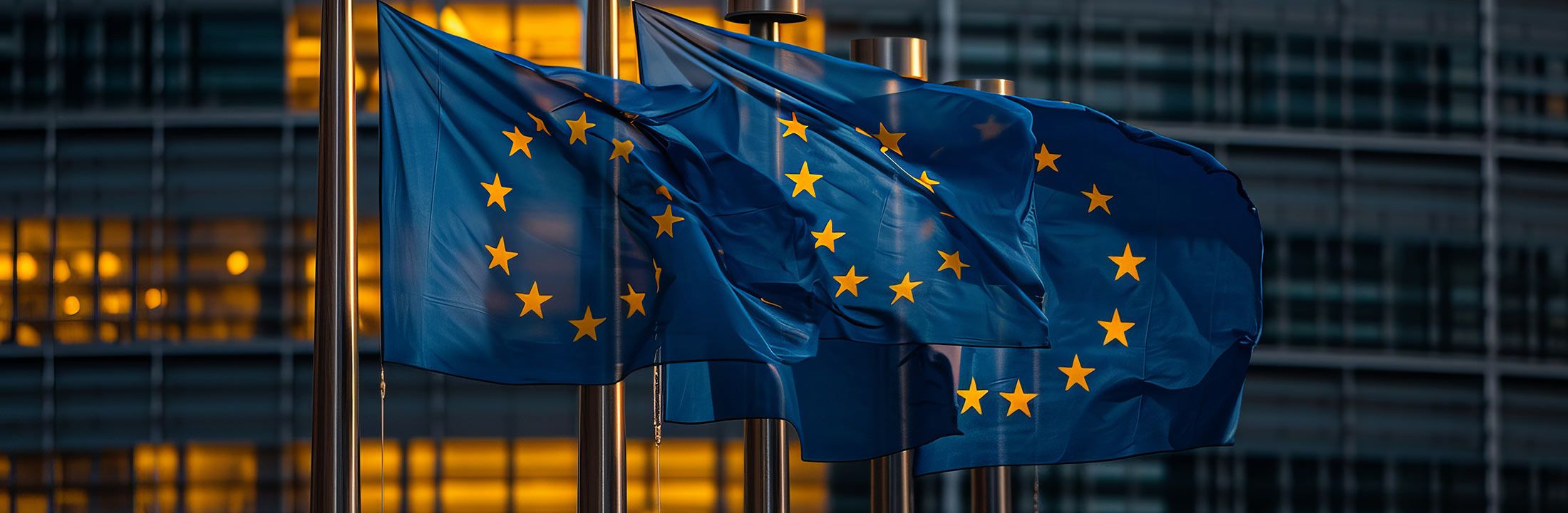 LLM in EU Law