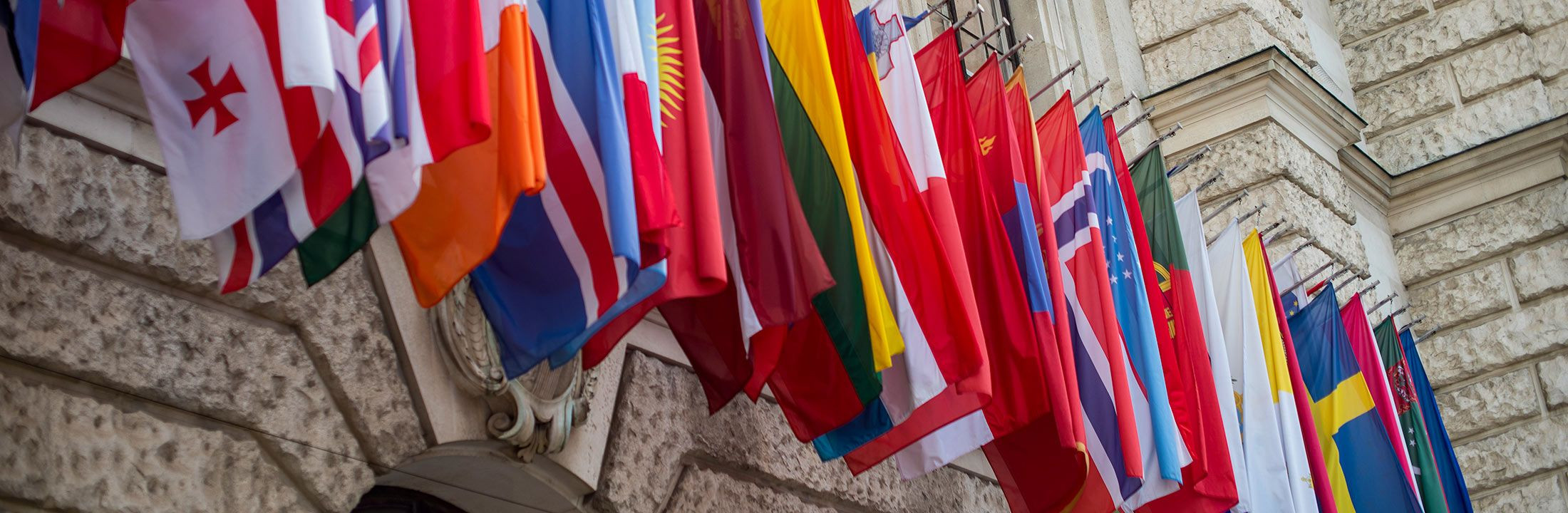 LLM in International Organizations
